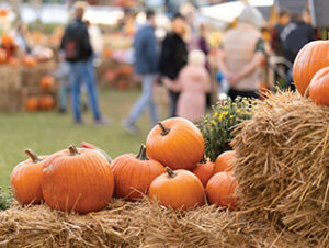 A close-up of pumpkins on hay bales with people walking in the background