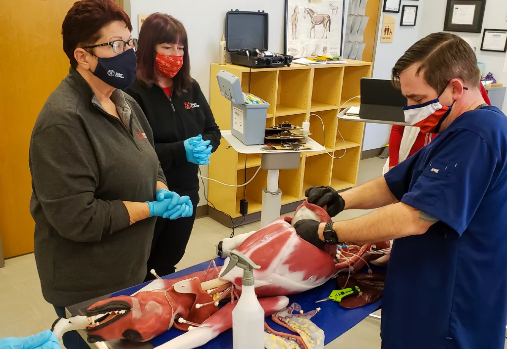 Baker College Undergraduate, Graduate & Online Degrees in Michigan