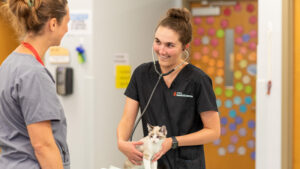 Two students in scrubs talk while one holds a cat.