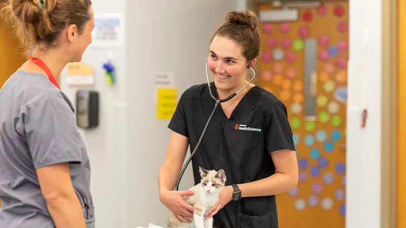 Veterinary Technology student listens to the heartbeat of a kitten as an instructor supervises. 