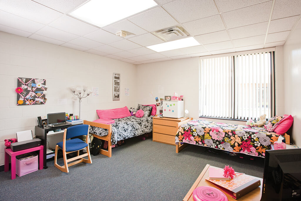 Two beds along with two desks and a dresser.