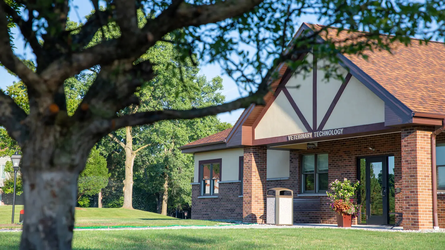 An external photo of the Veterinary Technology building as seen from a short distance away through the branches of a leafy green tree. The day is bright and sunny.